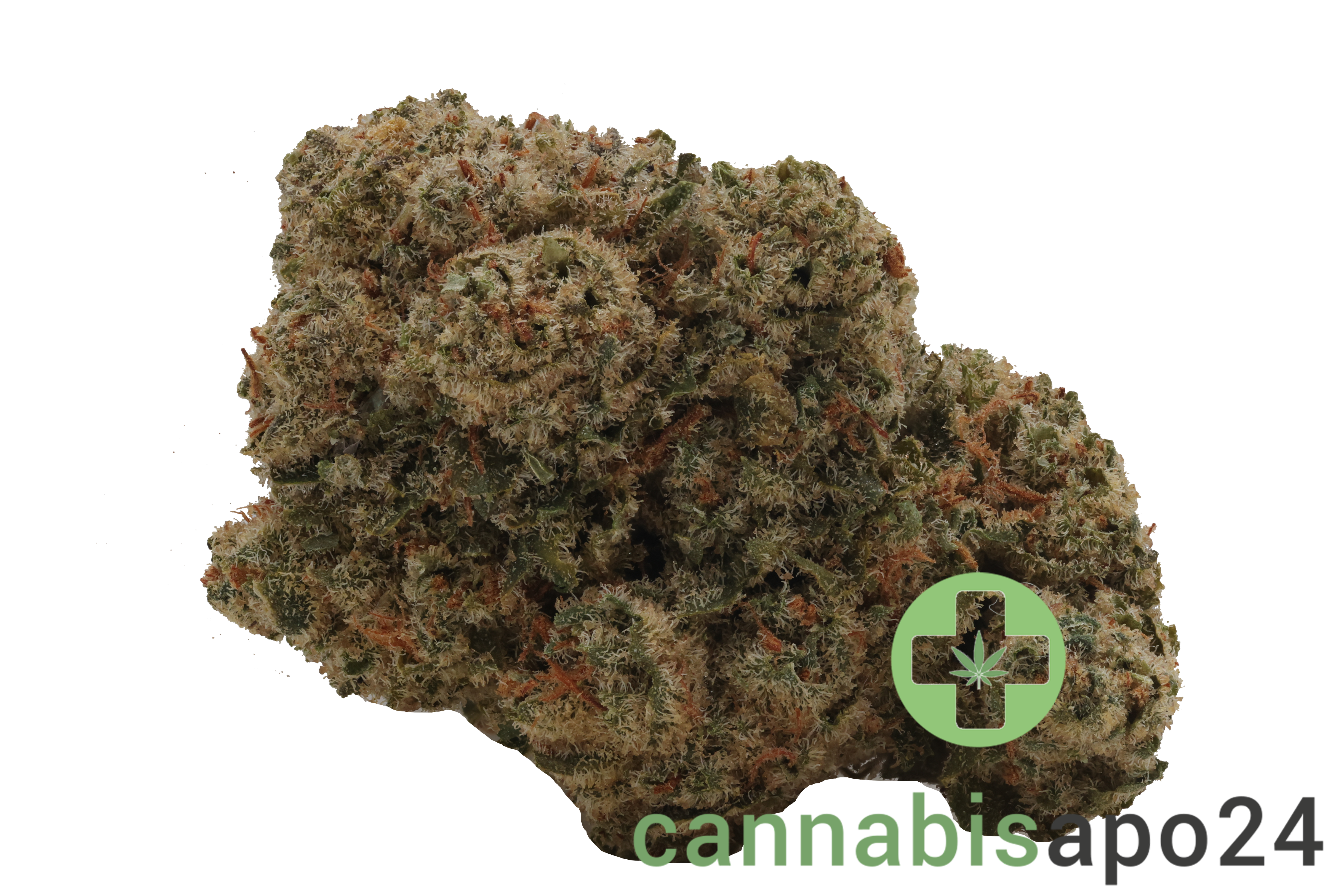 Briah MOB 25 Motor Breath