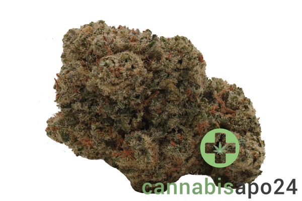 Briah MOB 25 Motor Breath