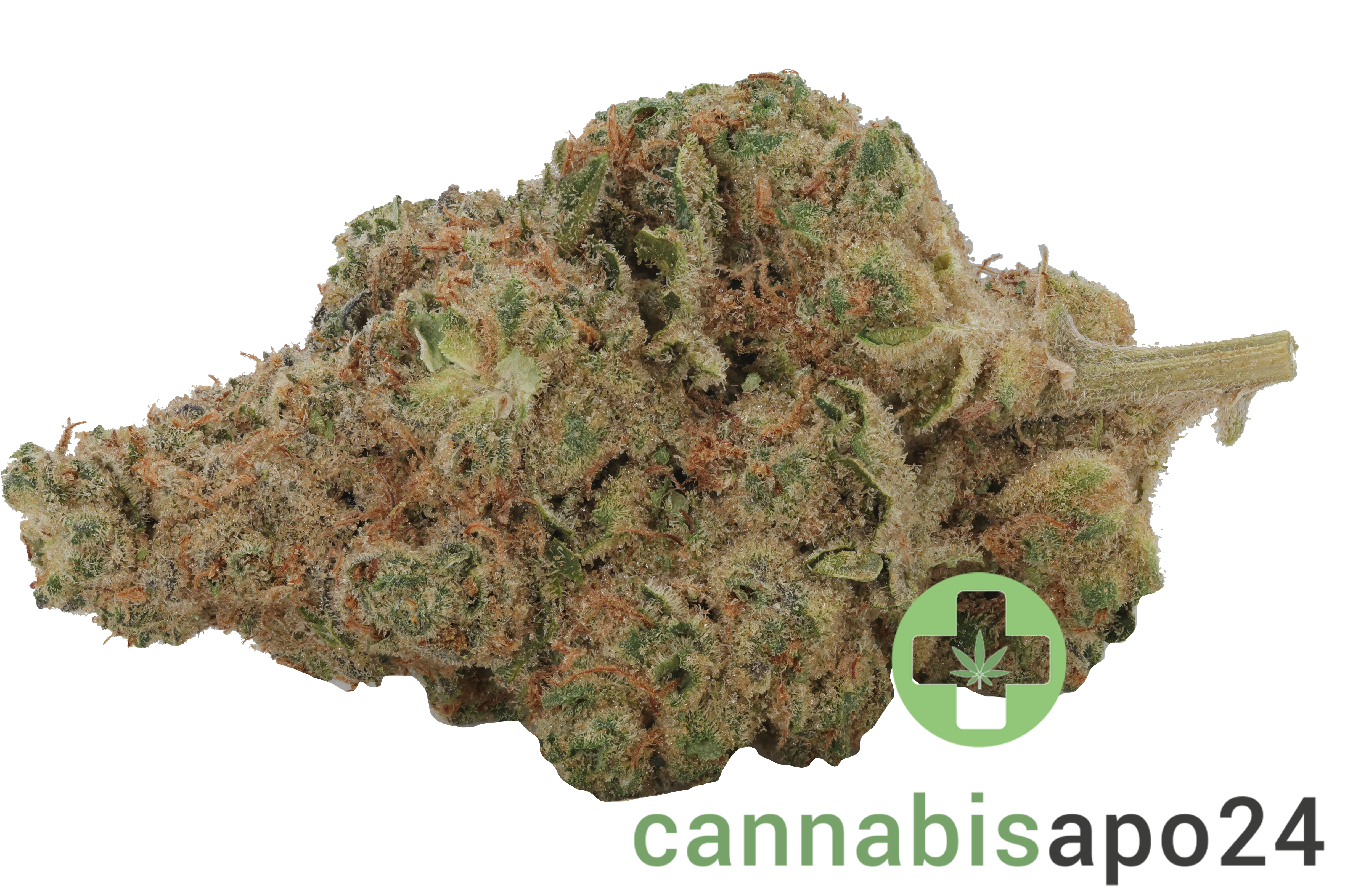 Briah GP 29/1 Grape Pie