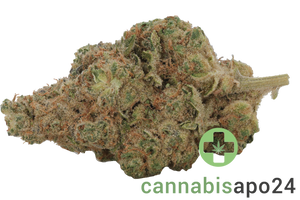 Briah GP 29/1 Grape Pie