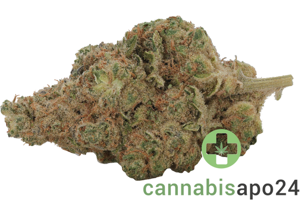 Briah GP 29/1 Grape Pie