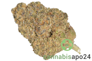 Briah Heaven Mintz 34/1 Kush Mintz