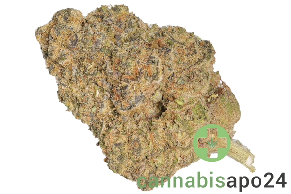 Briah Heaven Mintz 34/1 Kush Mintz
