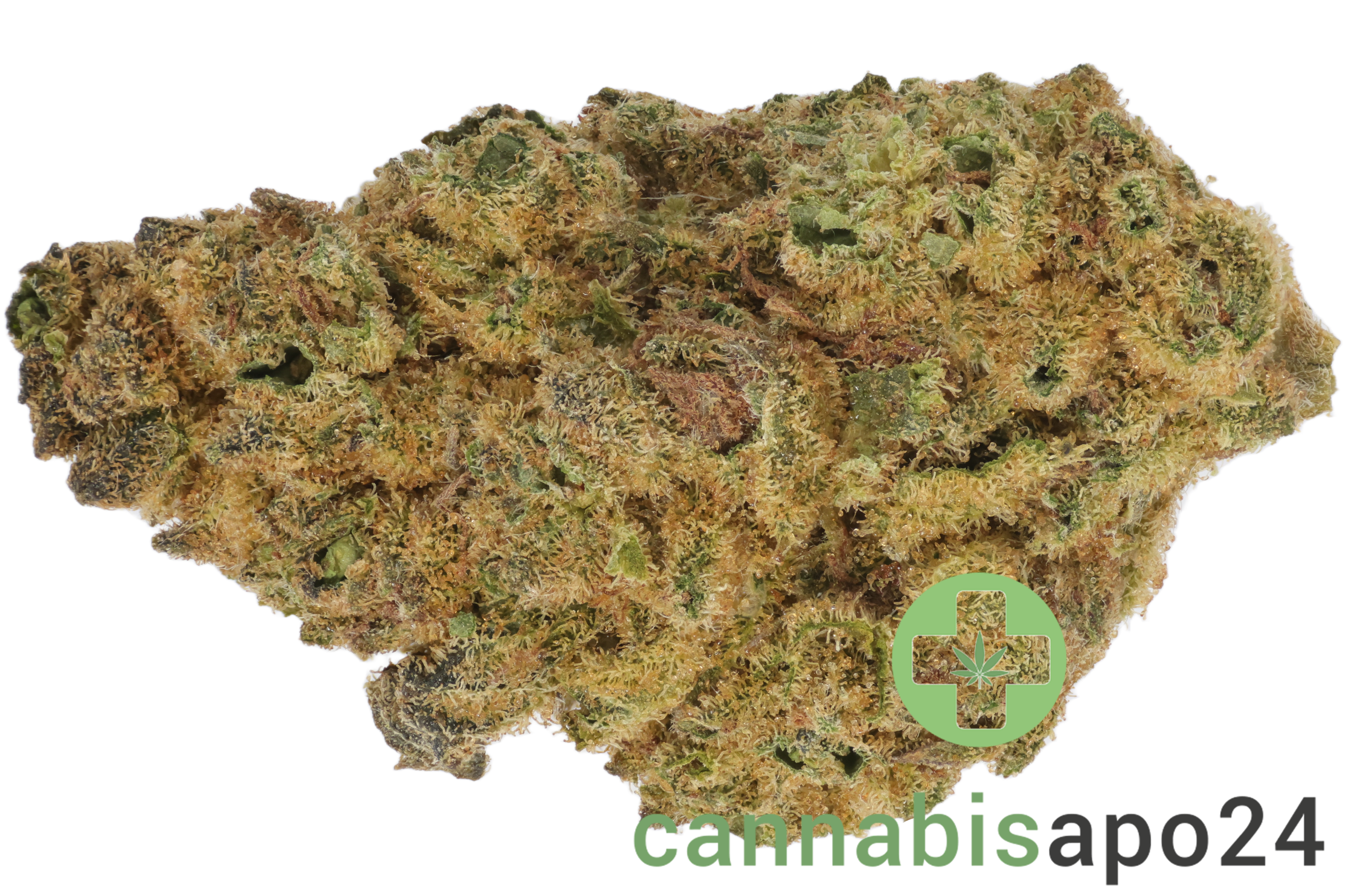 Bud-Jet 21/1 SUS Sunset Sherbert