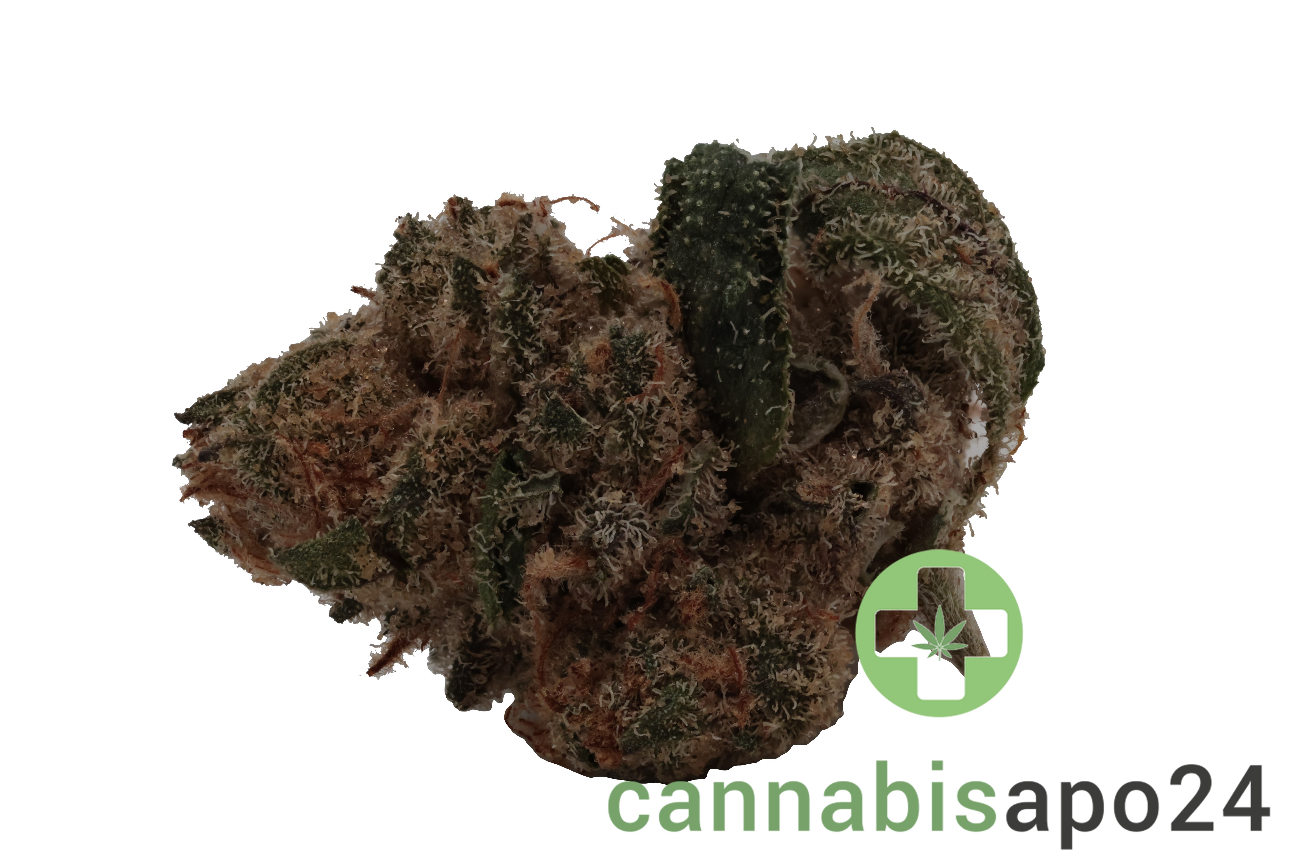 Buuo 20/1 FO Boss Haze