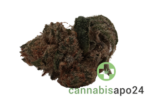 Buuo 20/1 FO Boss Haze