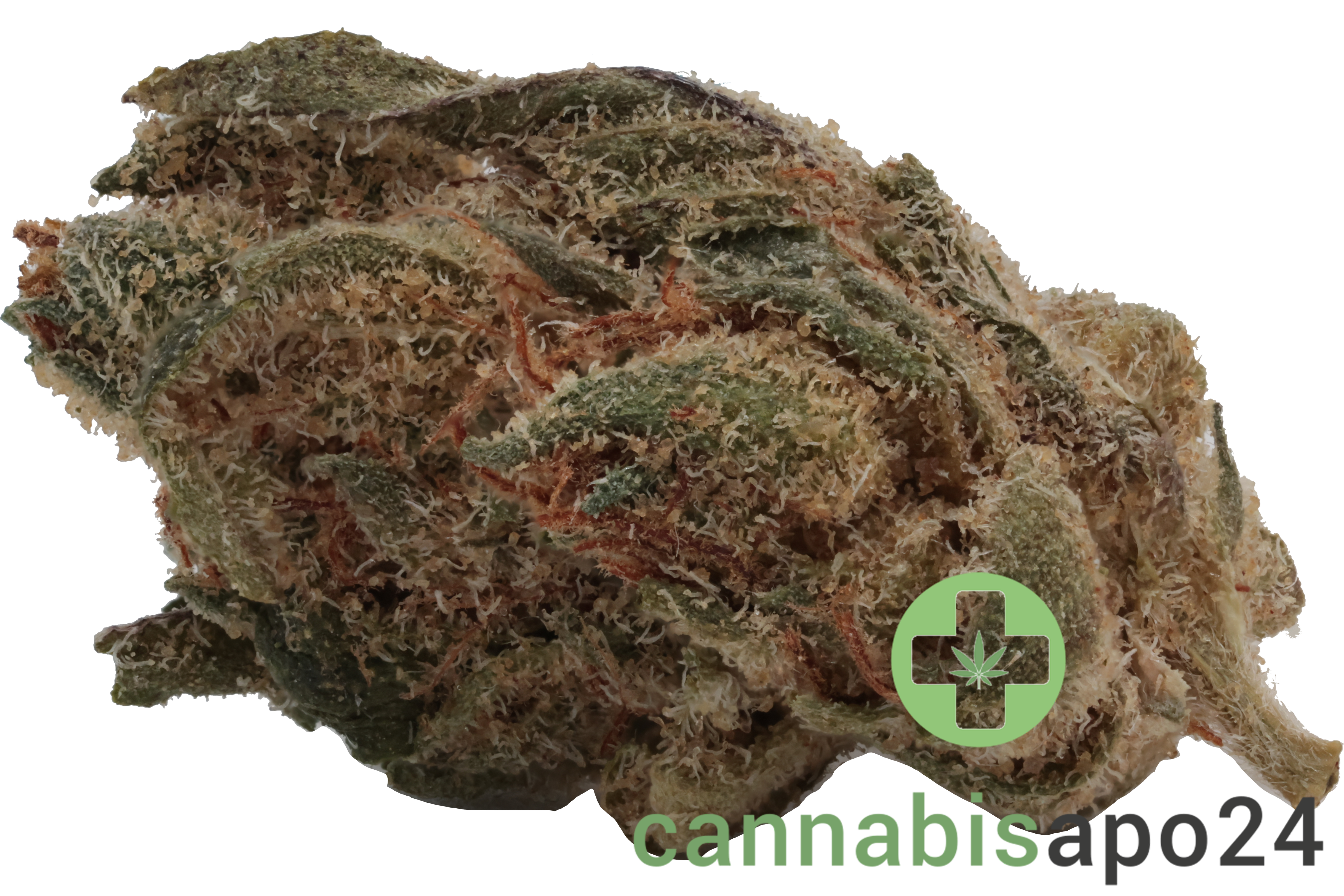 Buuo 20/1 FO Ultra Sour Sativa