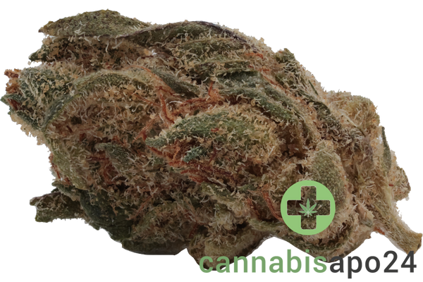 Buuo 20/1 FO Ultra Sour Sativa