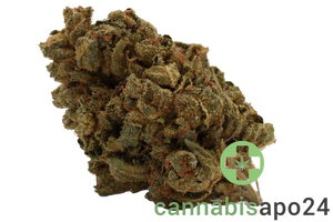 Cannamedical CM 20/1 LLY