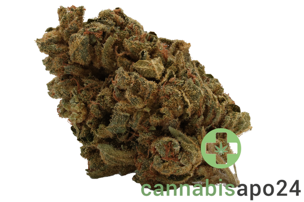 Cannamedical CM 20/1 LLY