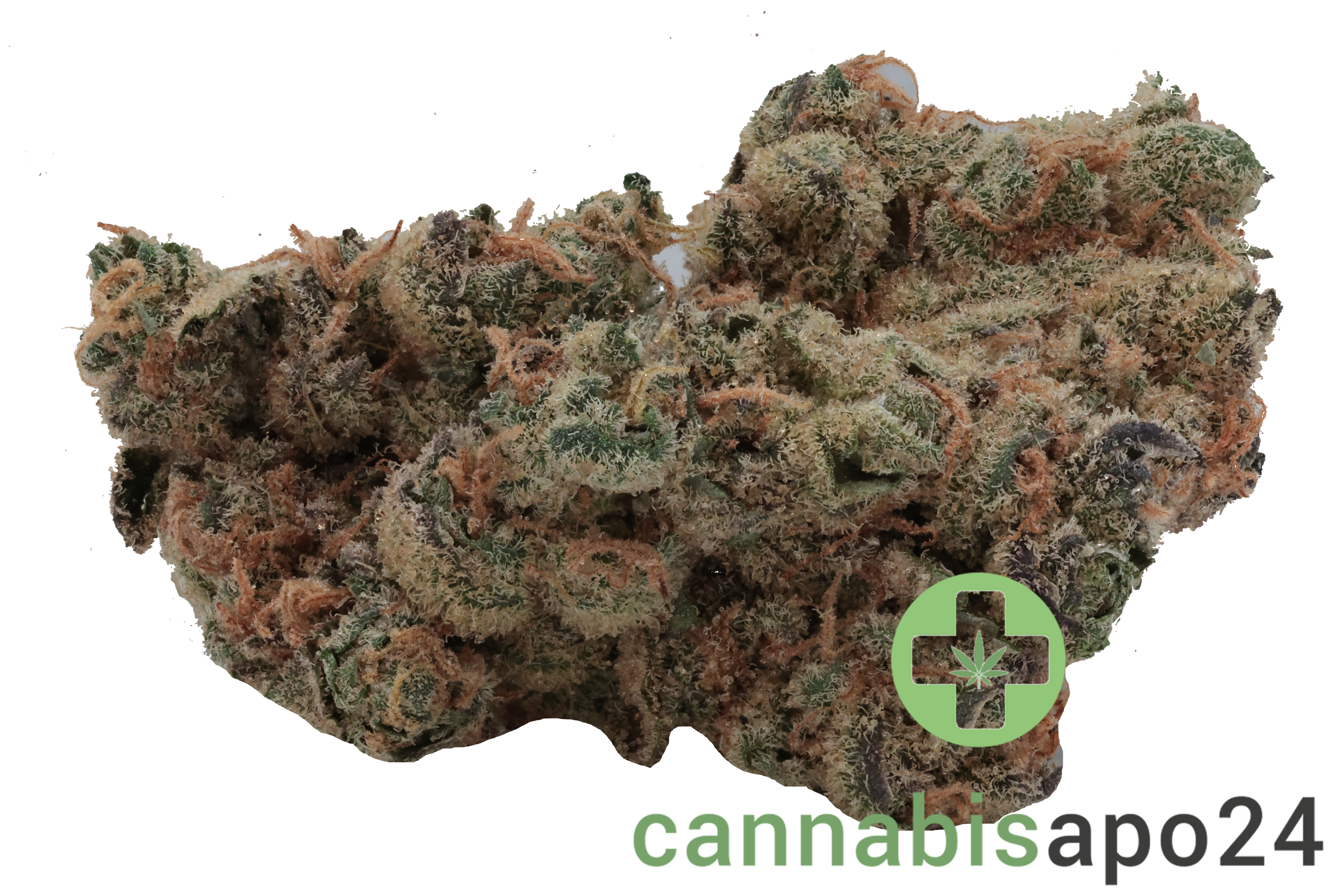 Cannamedical Hybrid forte BC Garlic Truffle