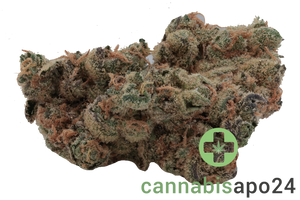 Cannamedical Hybrid forte BC Garlic Truffle
