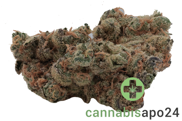 Cannamedical Hybrid forte BC Garlic Truffle