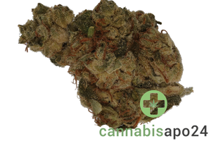 CRQSH SWC 27/1 Strawberry cheesecake