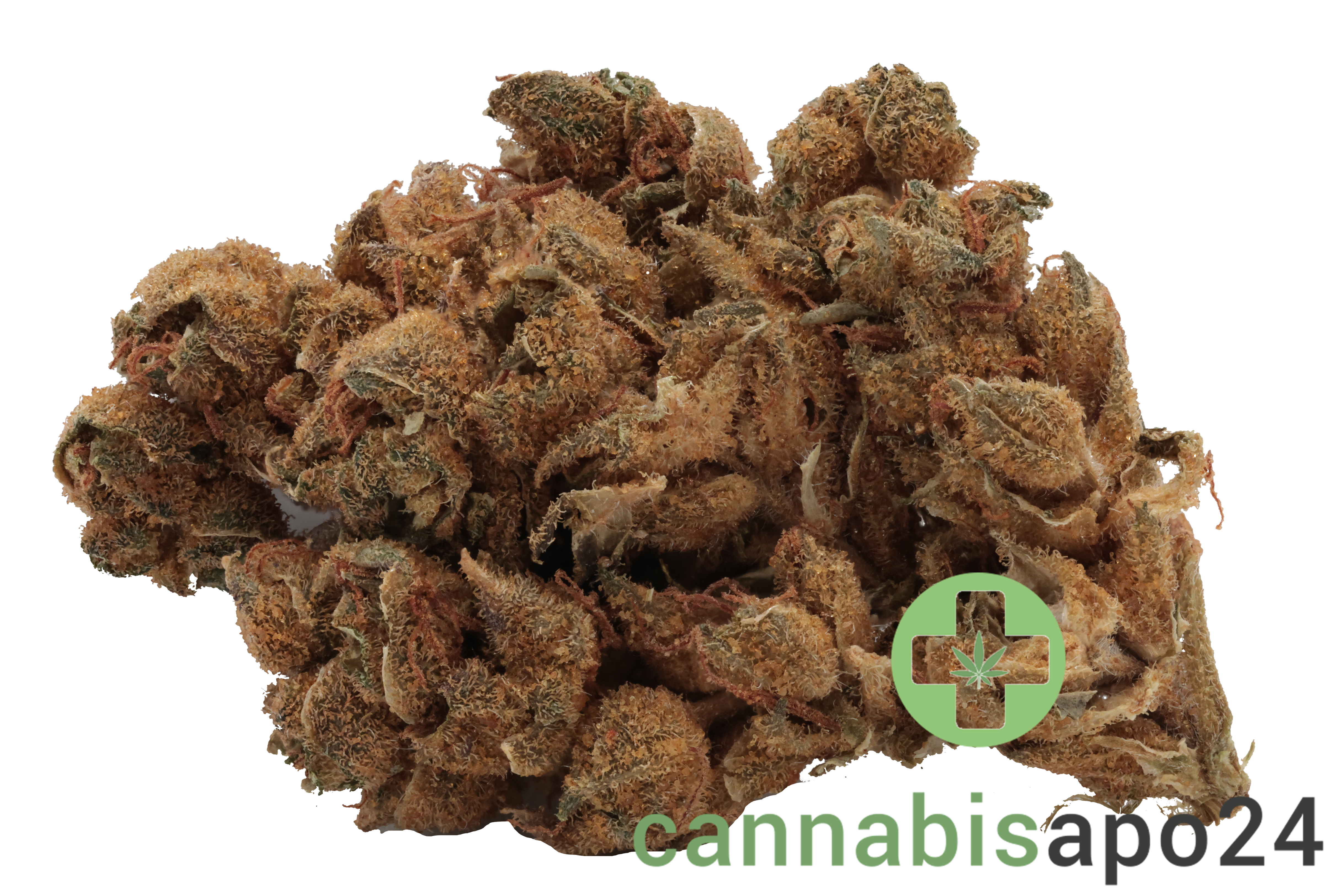 Canify 23/1 PRT KU. Strawberry Banana