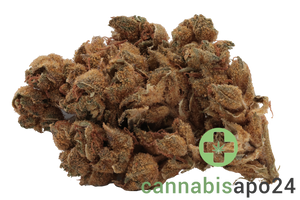 Canify 23/1 PRT KU. Strawberry Banana