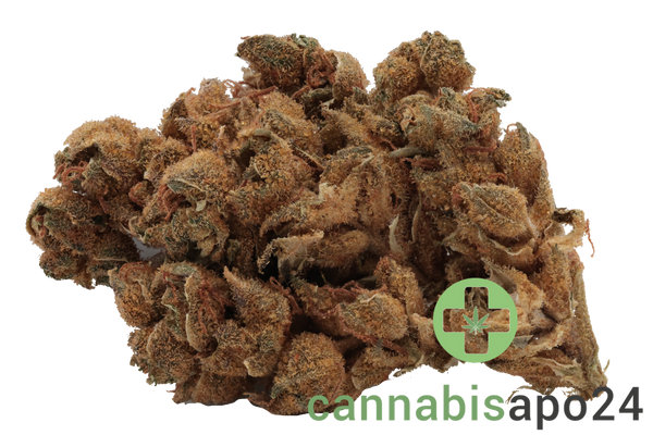 Canify 23/1 PRT KU. Strawberry Banana