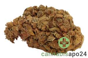 Canify 27/1 PRT KU. Strawberry Banana