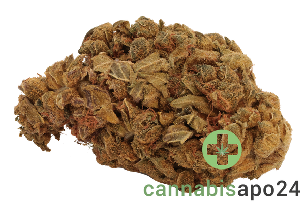 Canify 27/1 PRT KU. Strawberry Banana