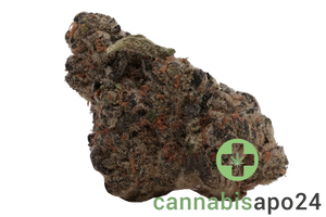 CannGo BC GREEN 24/1 A&G Apples & Gas