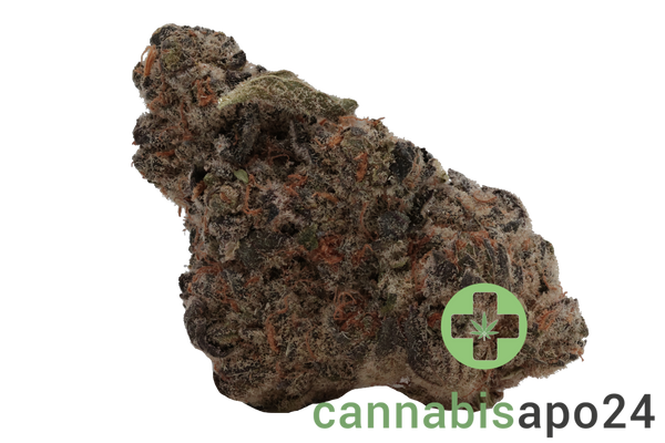 CannGo BC GREEN 24/1 A&G Apples & Gas