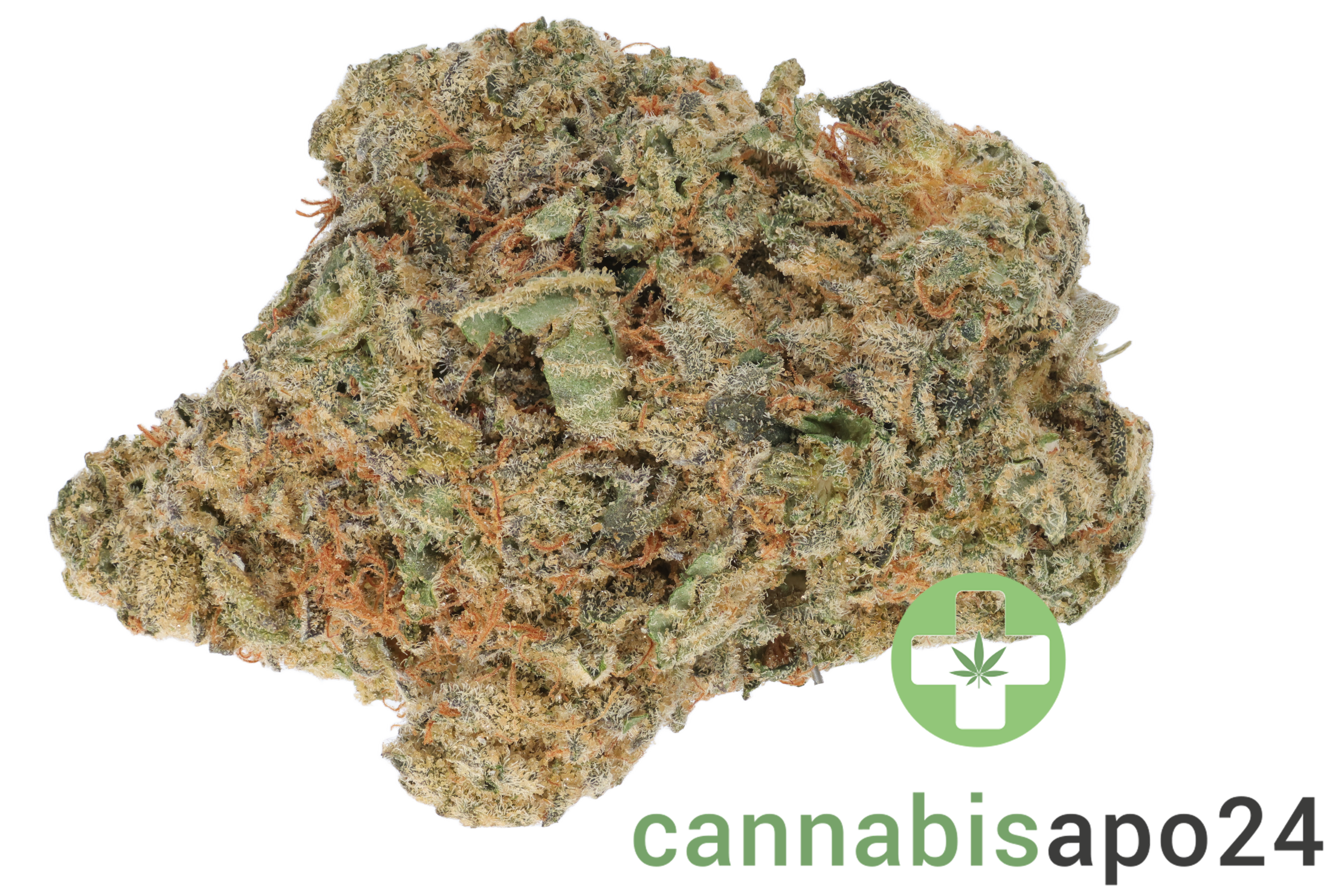 Cannabec Culture 27/1 BIN Blueberry Inferno