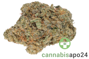 Cannabec Culture 27/1 BIN Blueberry Inferno