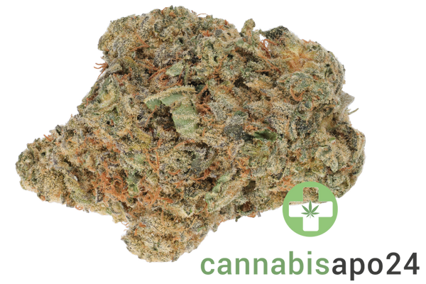 Cannabec Culture 27/1 BIN Blueberry Inferno