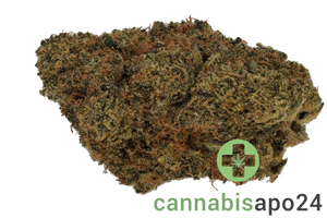 Cannabec Culture 27/1 FTP Fruity Pebbles