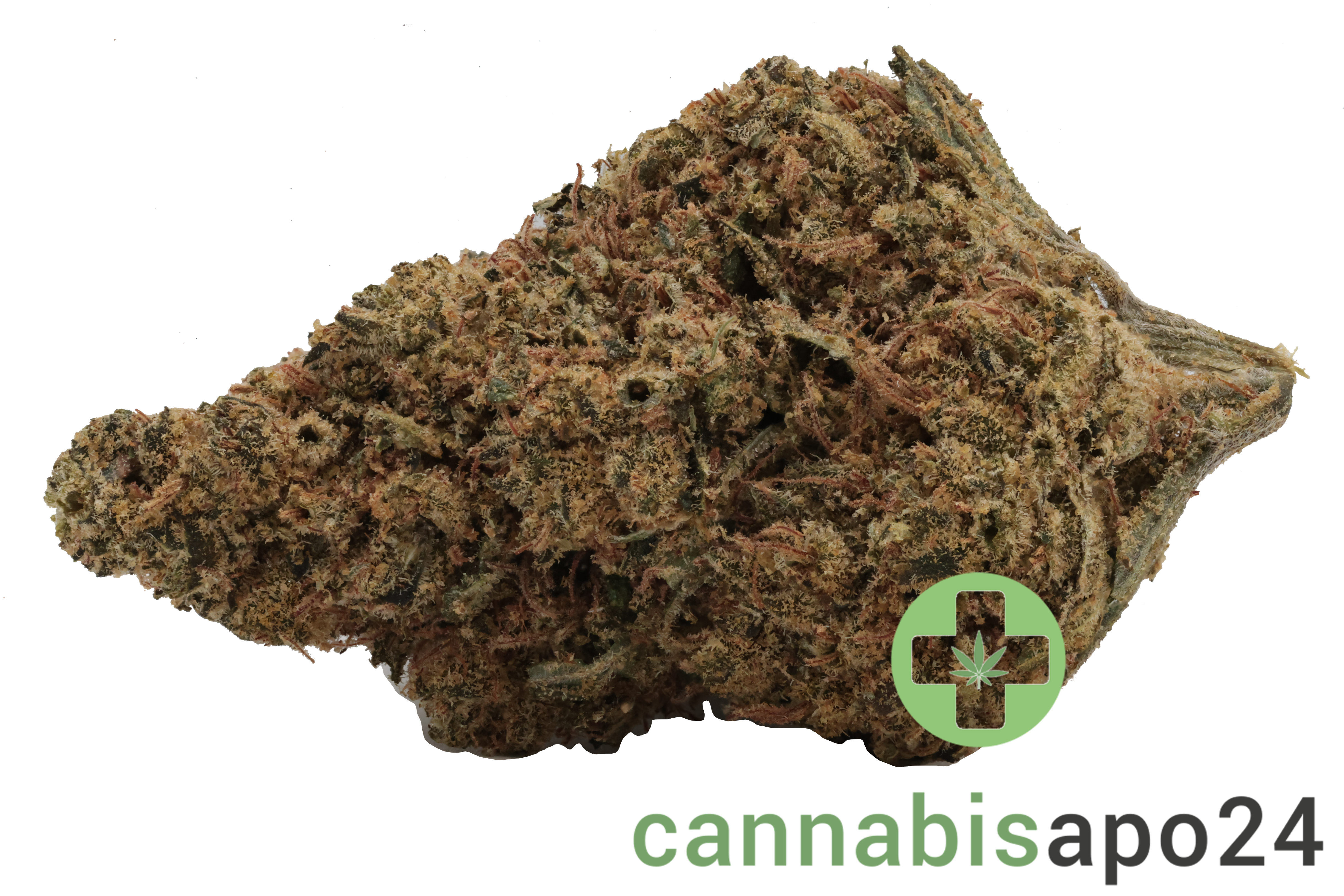 CannabiStada SEN 24/1