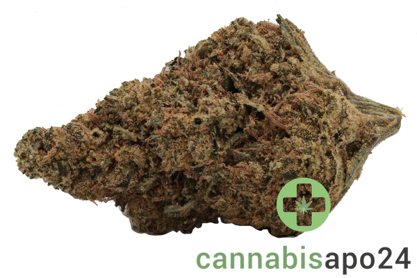 CannabiStada SEN 24/1