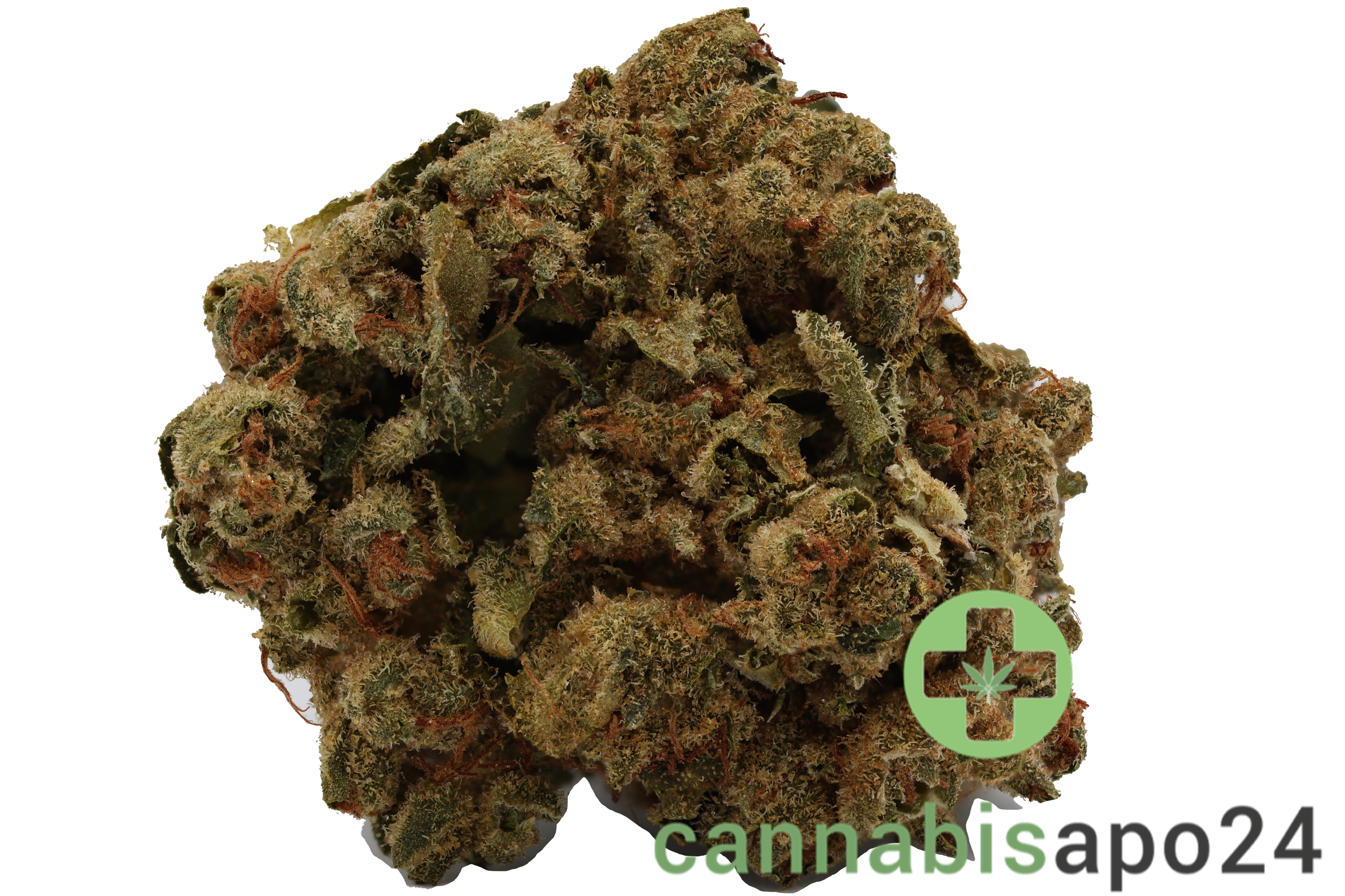 Cannamedical CM 24/1 LLY