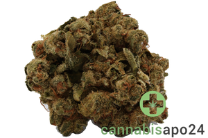 Cannamedical CM 24/1 LLY