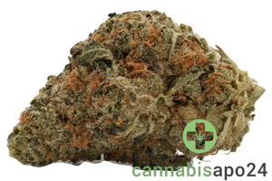 Cannamedical Indica forte El Jefe