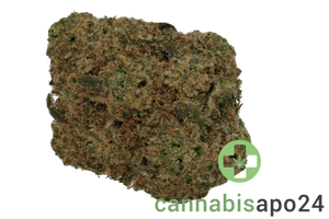 Cannamedical CM 32/1 SRK Sour Kush