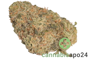 Cannamedical Indica Forte DK Blue Cheese