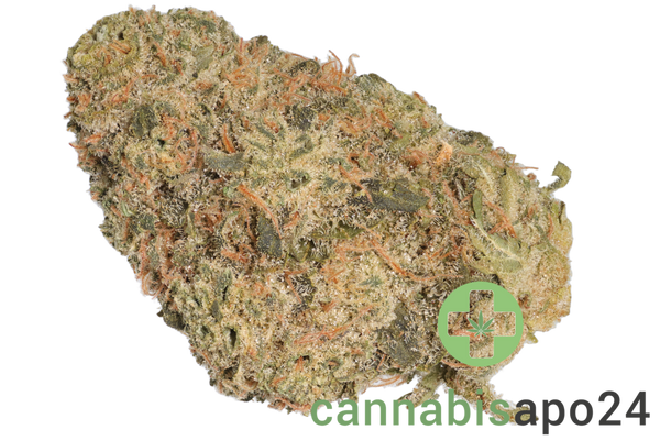 Cannamedical Indica Forte DK Blue Cheese