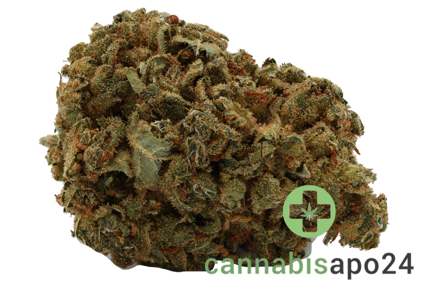 Canopy Medical