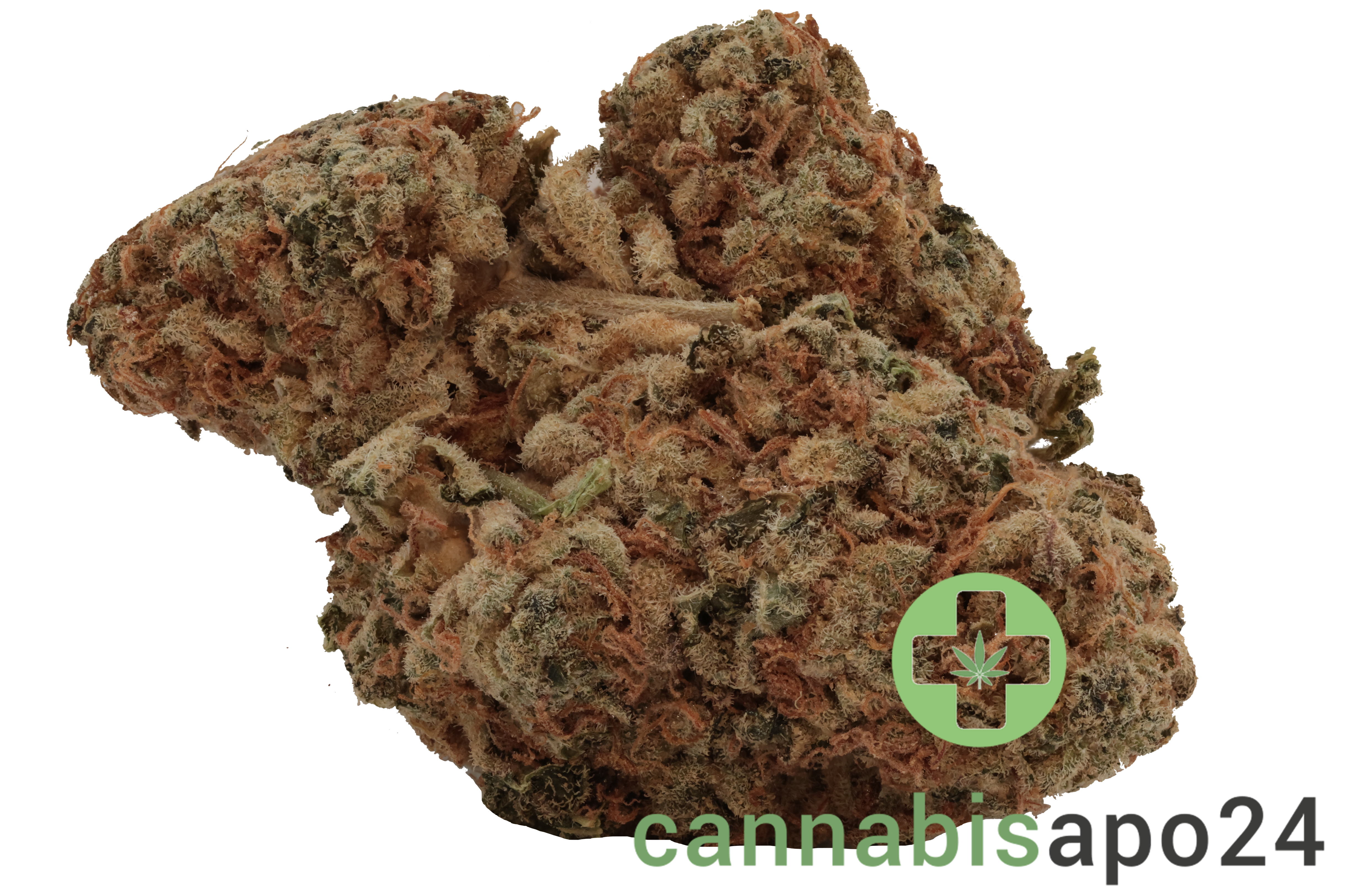 Cookies 2.0 Medellin 26/1 CAN