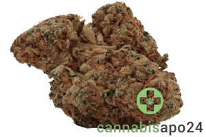 Cookies 2.0 Medellin 26/1 CAN