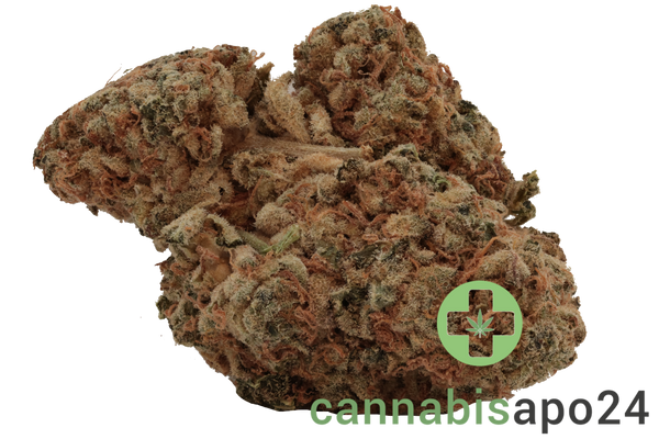 Cookies 2.0 Medellin 26/1 CAN