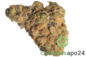 Cookies 2.0 Blueberry Bananas 30/1