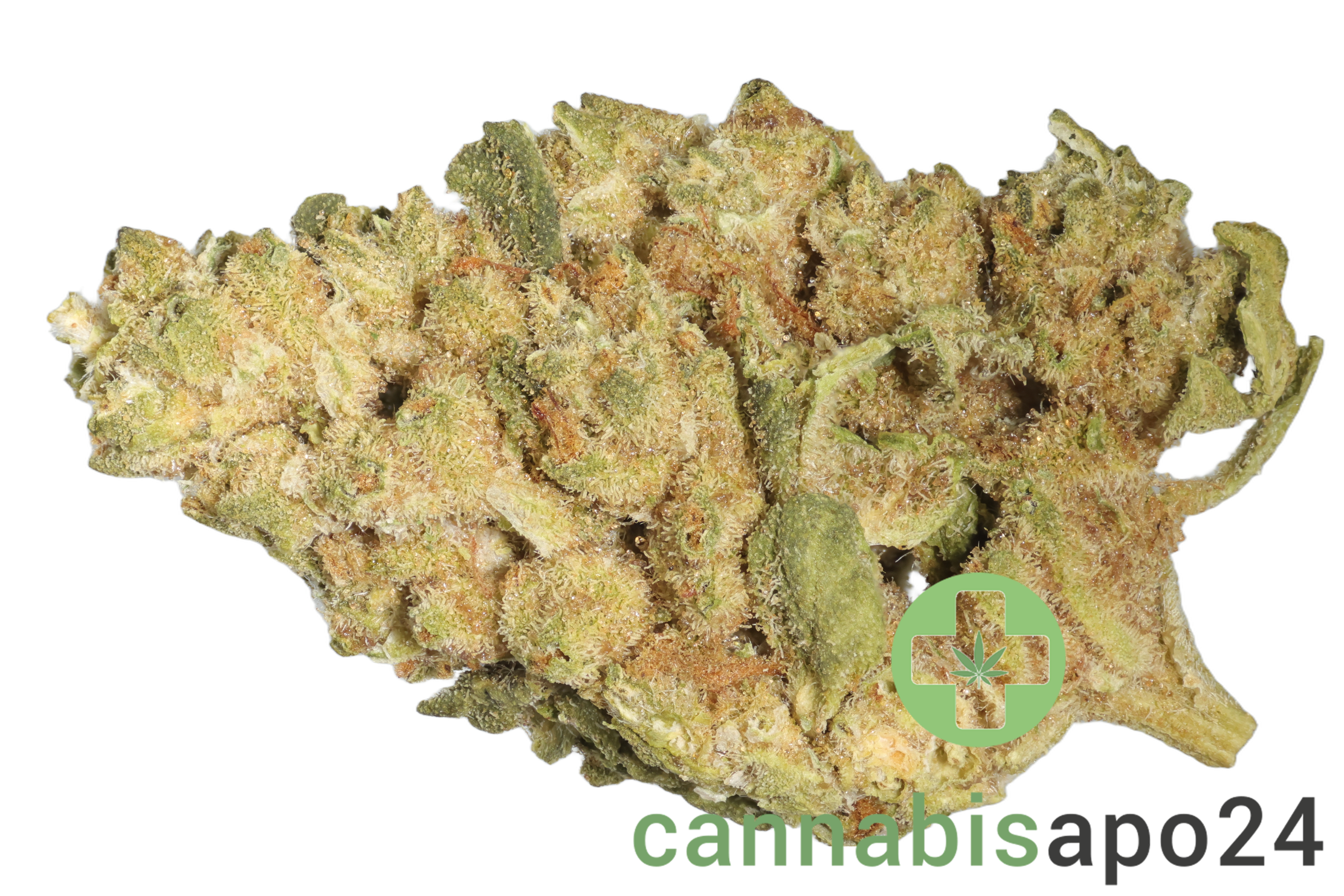 Coyote Valley 24/1 GRG Grizzly Glue