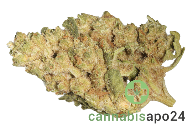 Coyote Valley 24/1 GRG Grizzly Glue