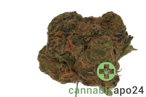 Daily Special 25/1 Fun Funky Berry