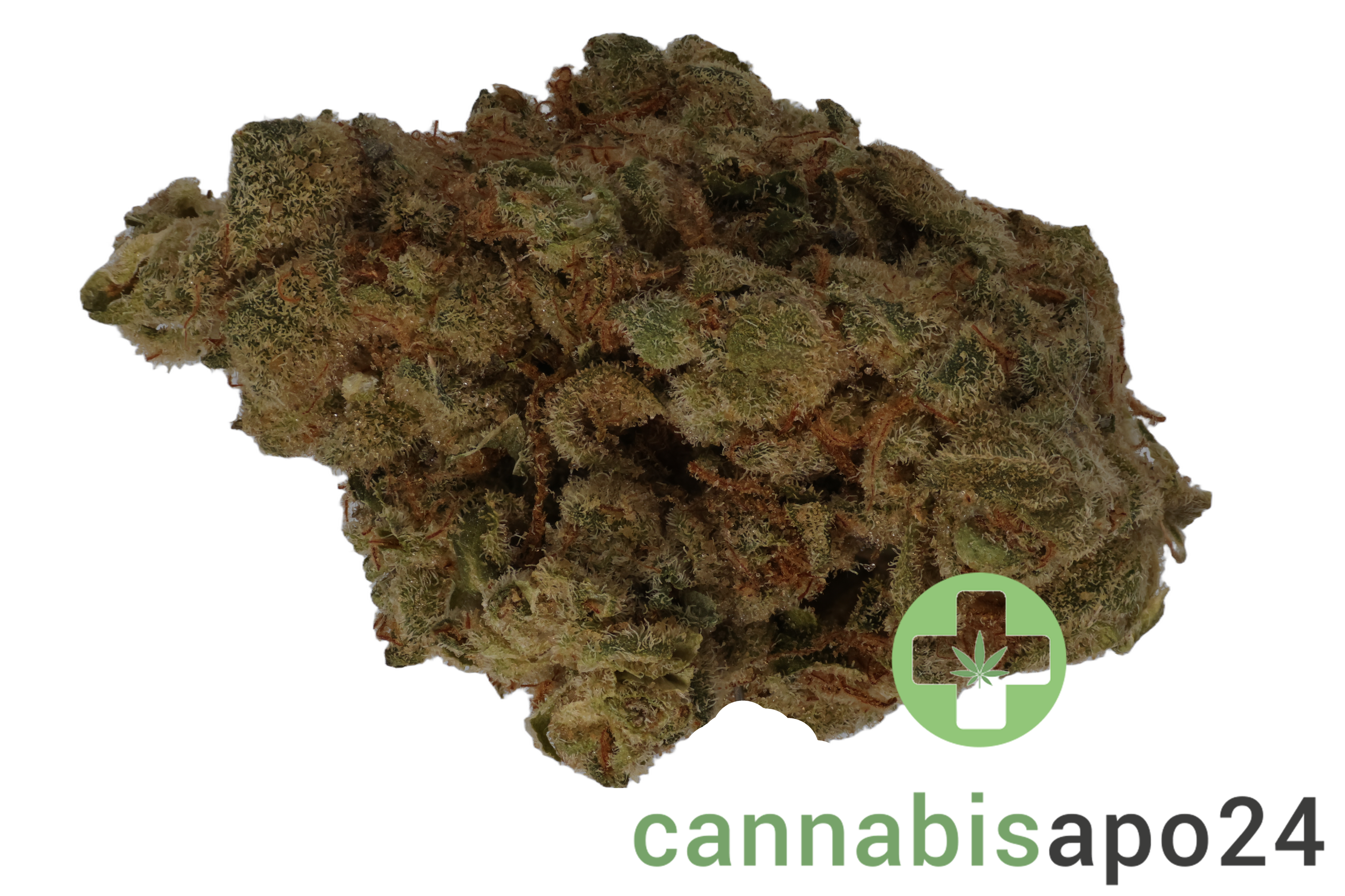Dank Craft 26 FQ CAN Frosty Queen