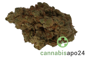 Dank Craft 26 FQ CAN Frosty Queen