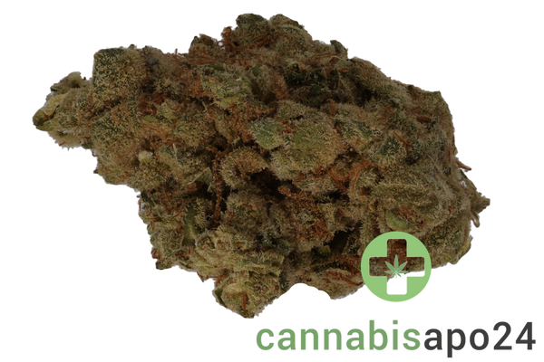 Dank Craft 26 FQ CAN Frosty Queen