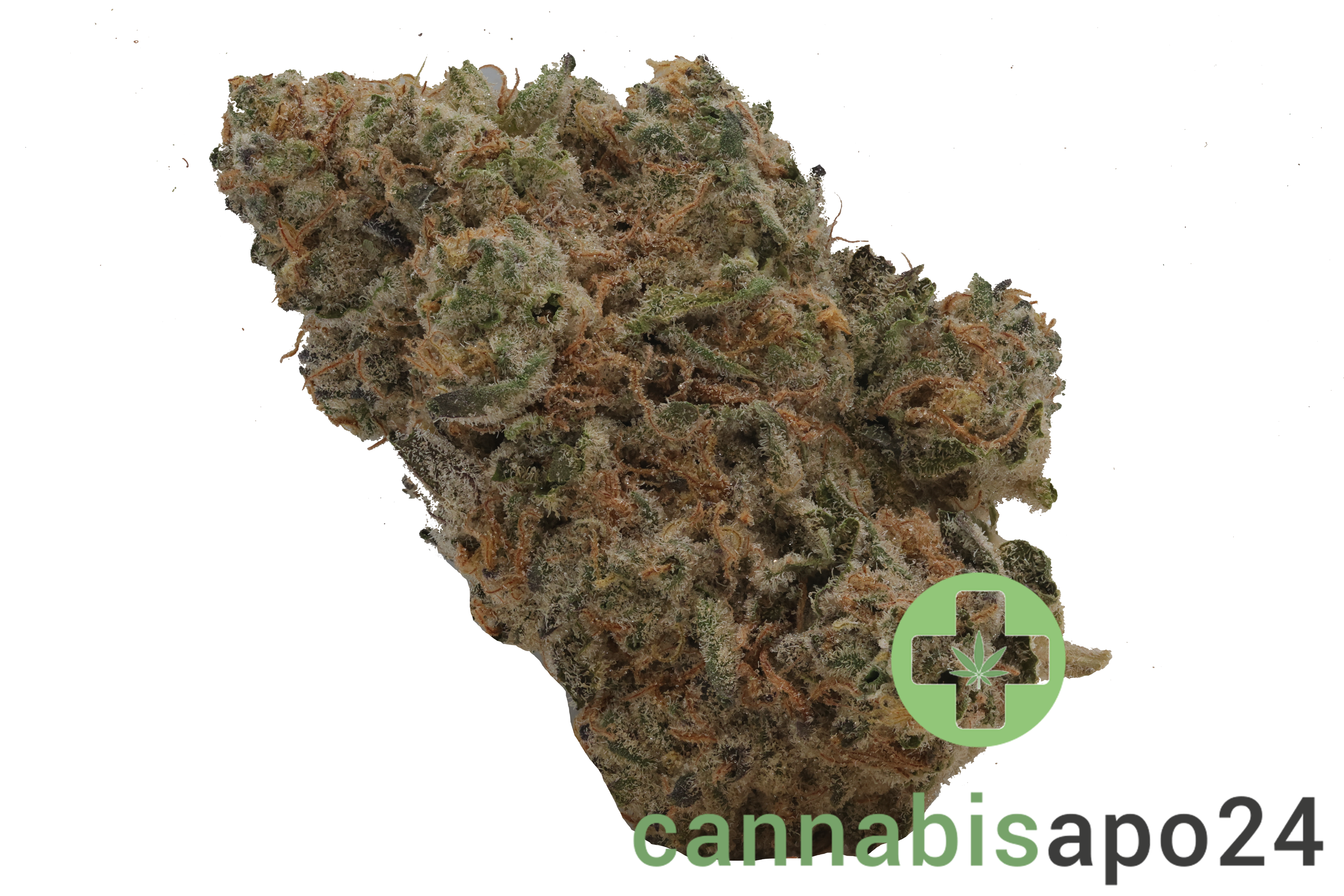 Craft ALOHA 31/1 White Widow x Trainwreck
