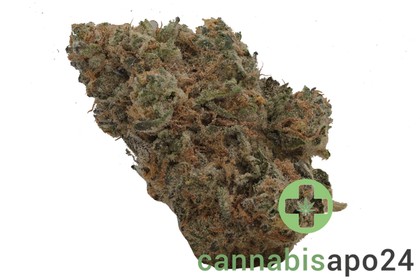 Craft ALOHA 31/1 White Widow x Trainwreck